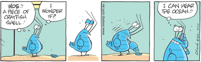Swamp Cartoon - Bob the Crayfish shell surpriseJuly 5, 2012