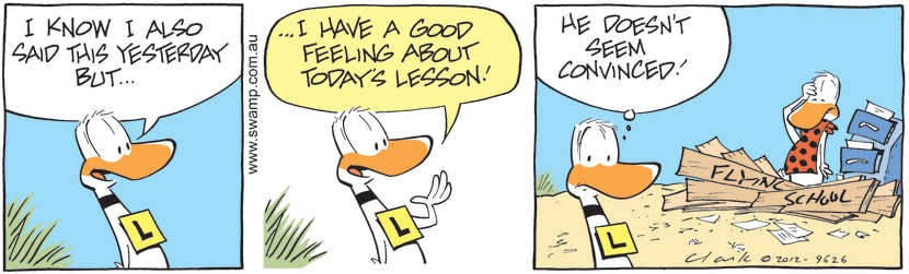 Swamp Cartoon - Ding Duck Confident About Next Flying LessonJuly 9, 2012