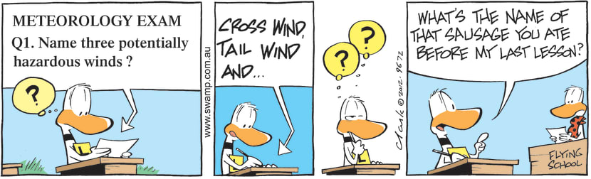 Swamp Cartoon - Ding Duck Hazardous Winds ComicAugust 31, 2012