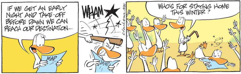 Swamp Cartoon - Early Night ComicSeptember 15, 2012