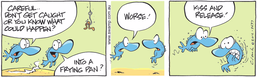 Swamp Cartoon - Worst Nightmare ComicNovember 27, 2024