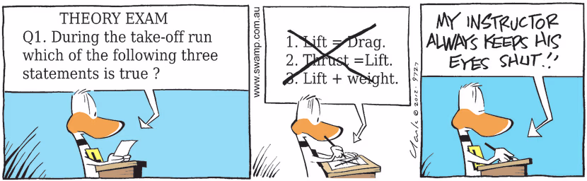 Swamp Cartoon - Theory ExamNovember 3, 2012