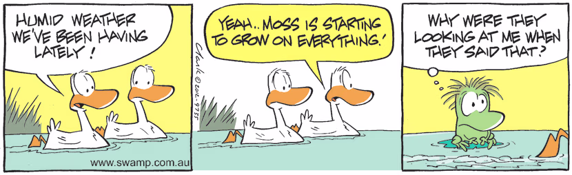 The humid weather is causing moss to grow on everything. Swamp Cartoon - Humid WeatherJanuary 22, 2025