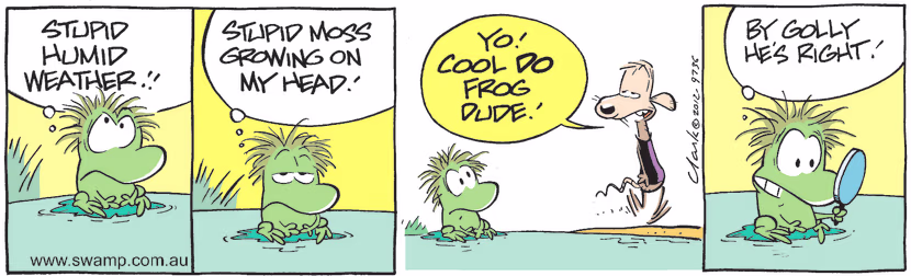 Mort Frog is having a bad hair day because of the humid weather. Swamp Cartoon - Bad Hair DayJanuary 23, 2025