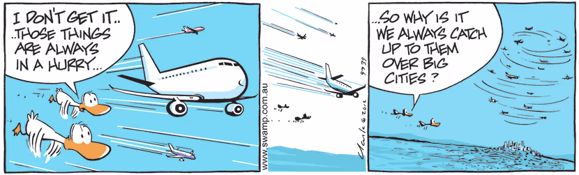 Swamp Cartoon - The Fastest aren’t Always the Quickest ComicNovember 17, 2012