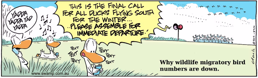 There's a reason why wildlife migratory bird numbers are down. Swamp Cartoon - Migration Delays ComicJanuary 30, 2025
