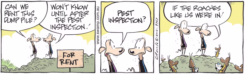 Swamp Cartoon - Pest InspectionDecember 14, 2024