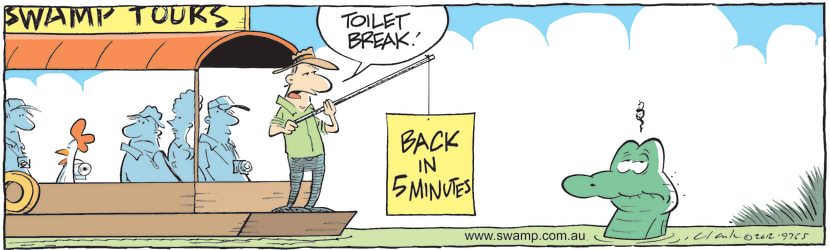 Swamp Cartoon - What Now?!December 19, 2012