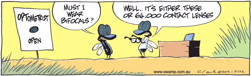 Swamp fly is having eye test and optometrist fly is advising him to wear bifocal glasses. Swamp Cartoon - Swamp Flies Eyes CheckedDecember 20, 2024