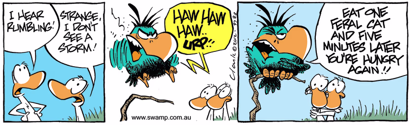 The Swamp Ducks hear rumbling and are puzzled because they don't see any storm coming. Swamp Cartoon - Hear RumblingDecember 26, 2024
