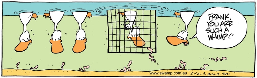 Swamp Cartoon - Ducks Feeding ComicMarch 16, 2013