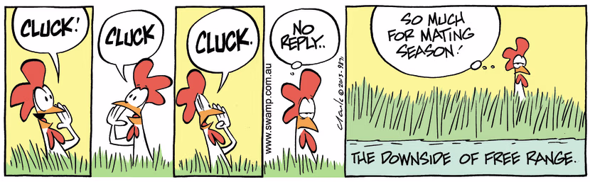 In searching for a mate, the chicken discovers the challenges of free range. Swamp Cartoon - Challenges of Free RangeMarch 7, 2025