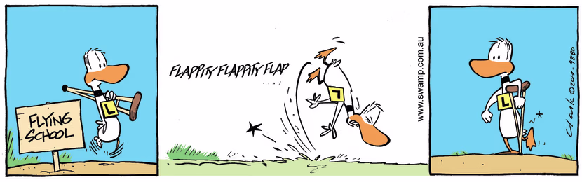 Ding Duck did some pre-flight planning and brought a crutch with him in the event that he crashed. Swamp Cartoon - Pre-flight PlanningMarch 13, 2025