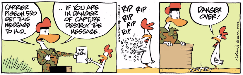 The Commanding Officer instructs Carrier Pigeon 590 to destroy secret message to H.Q. if can't get through. Swamp Cartoon - Message to H.Q. ComicJune 24, 2025