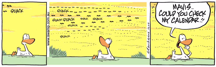 Paddling along a duck sees flocks of ducks migrating and he's concerned he's missed the date. Swamp Cartoon - Ducks Migrating ComicAugust 7, 2025