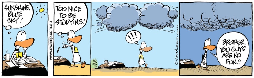 Swamp Cartoon - Ding Duck Clouds ComicDecember 20, 2013