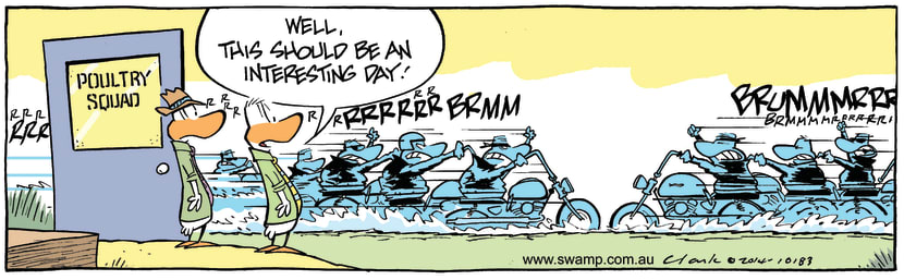 Swamp Cartoon - Wild Ducks Encounter ComicMay 17, 2014