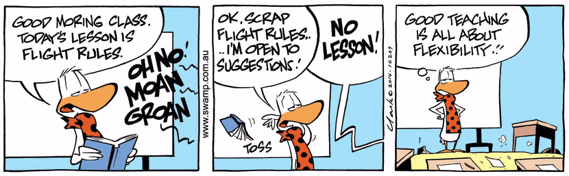 Swamp Cartoon - Flight Instructor Rules ComicJuly 3, 2014