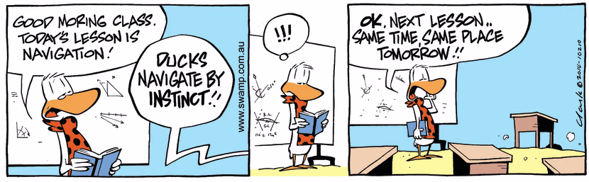Swamp Cartoon - Flight Instructor Navigation ComicJuly 4, 2014