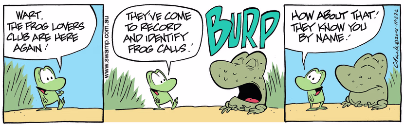 Swamp Cartoon - Wart Frog Call ComicJuly 30, 2014