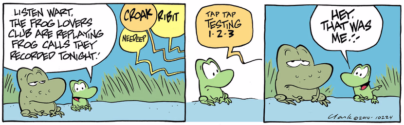 Swamp Cartoon - Mort Frog Calls ComicAugust 2, 2014