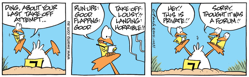 Swamp Cartoon - Ding Duck Assessment ComicDecember 17, 2014