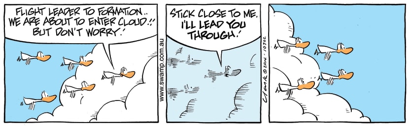 Swamp Cartoon - Ducks Flying Cloud ComicJanuary 3, 2015