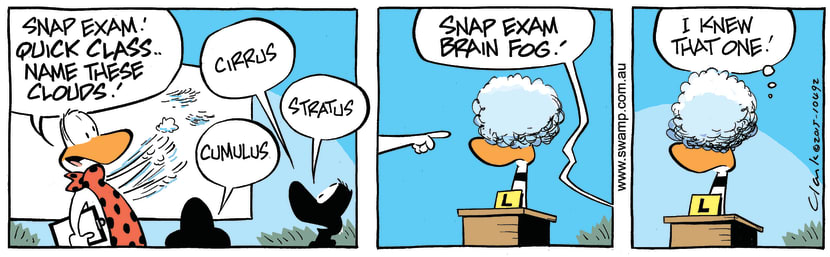 Ding Duck Brain Fog Comic - Swamp Cartoons Ding Duck Brain Fog Comic - Swamp Cartoons