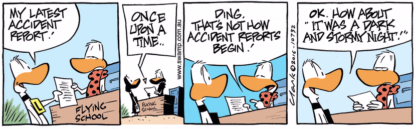 Swamp Cartoon - Ding Duck Accident Report Story ComicMay 21, 2016