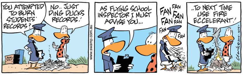 Swamp Cartoon - Flight Instructor Burns RecordsJune 13, 2016
