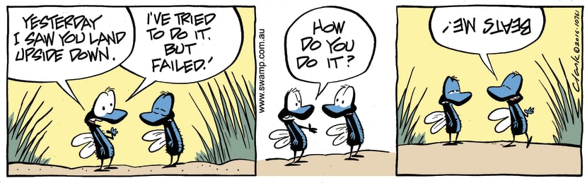 Swamp Cartoon - Fly Upside Landing ComicJune 24, 2016