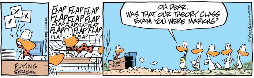 Swamp Cartoon - Flight Instructor Theory Exam ComicJuly 22, 2016