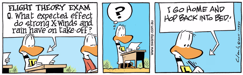 Swamp Cartoon - Ding Duck Cross Winds ComicSeptember 23, 2016