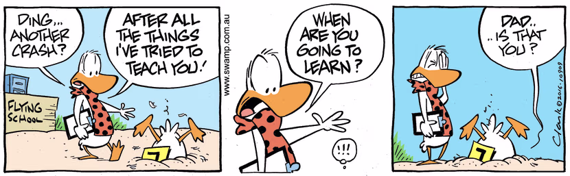 Swamp Cartoon - Ding Duck Dad ComicDecember 13, 2016