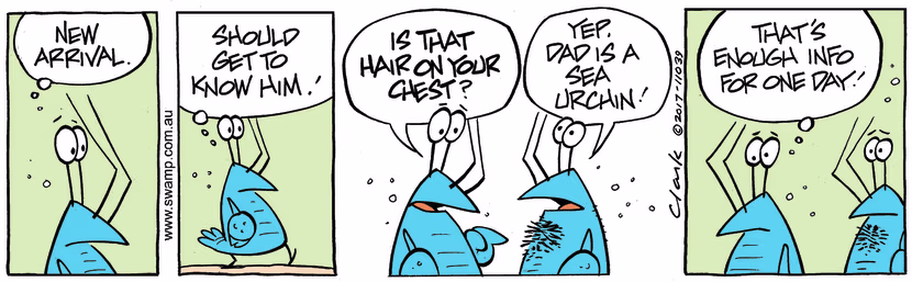 Swamp Cartoon - Bob Crayfish Hair ComicMay 16, 2017