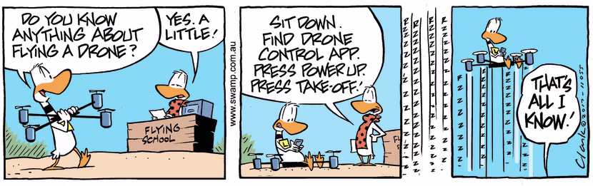 Swamp Cartoon - Ding Duck Flying Drone ComicJune 3, 2017