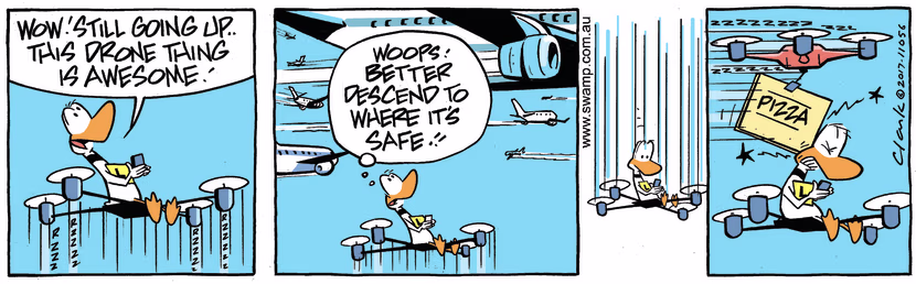 Swamp Cartoon - Ding Duck Pizza ComicJune 5, 2017