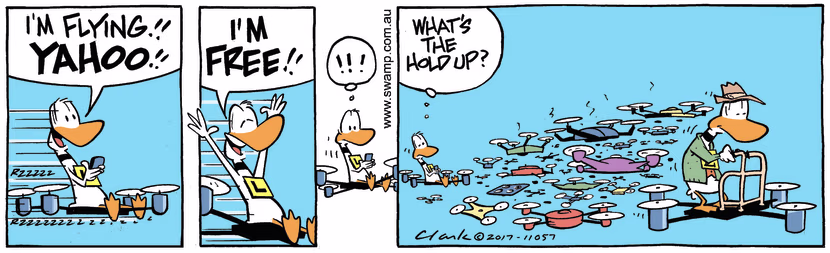 Swamp Cartoon - Ding Duck Hold Up ComicJune 6, 2017