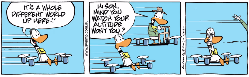 Swamp Cartoon - Ding Duck Altitude ComicJune 9, 2017
