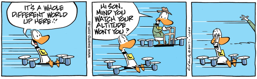 Swamp Cartoon - Ding Duck Altitude ComicJune 9, 2017