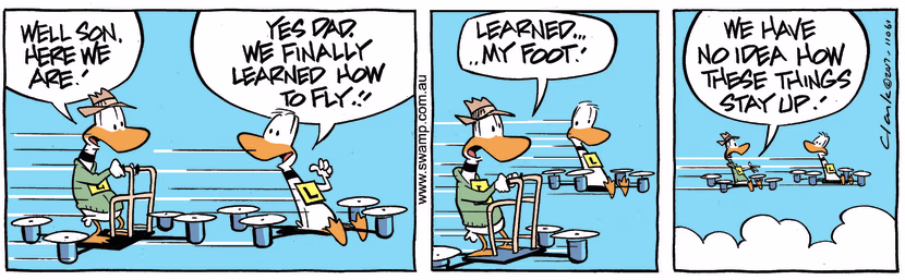 Swamp Cartoon - Ding Duck Dad Flying ComicJune 10, 2017