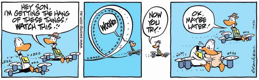 Swamp Cartoon - Ding Duck Airsick ComicJune 21, 2017