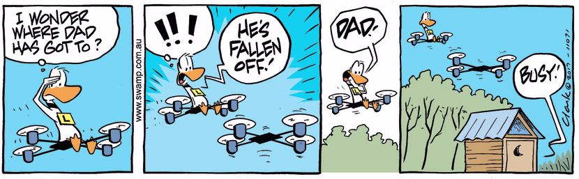 Swamp Cartoon - Ding Duck Dad Gone ComicJune 22, 2017