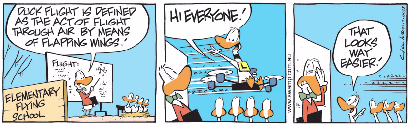 Swamp Cartoon - Ding Duck Drone Flight ComicJune 27, 2017