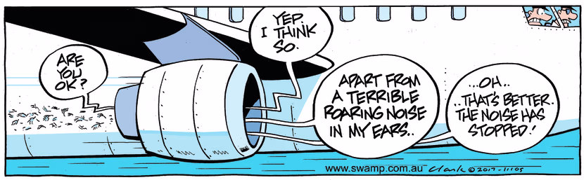 Swamp Cartoon - Birdstrike Noise ComicJuly 31, 2017