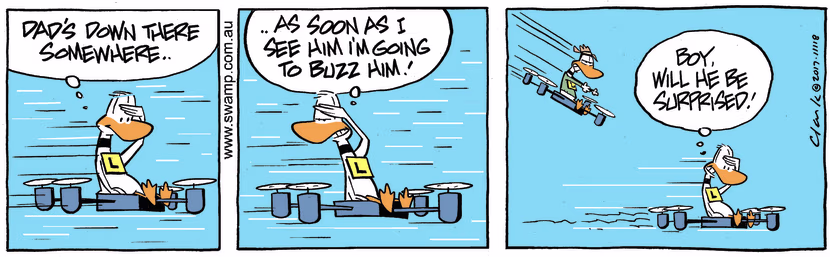 Swamp Cartoon - Ding Duck Buzz Dad ComicAugust 16, 2017