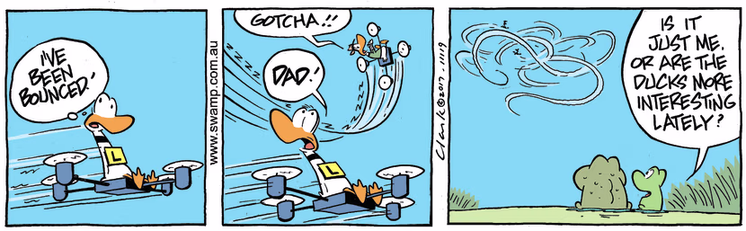 Swamp Cartoon - Ding Duck Bounced ComicAugust 17, 2017