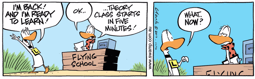 Swamp Cartoon - Ding Duck Class ComicOctober 16, 2017