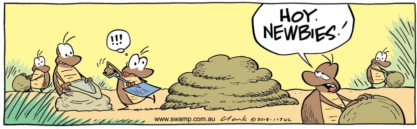 Swamp Cartoon - Dung Beetles Newby ComicMay 5, 2018