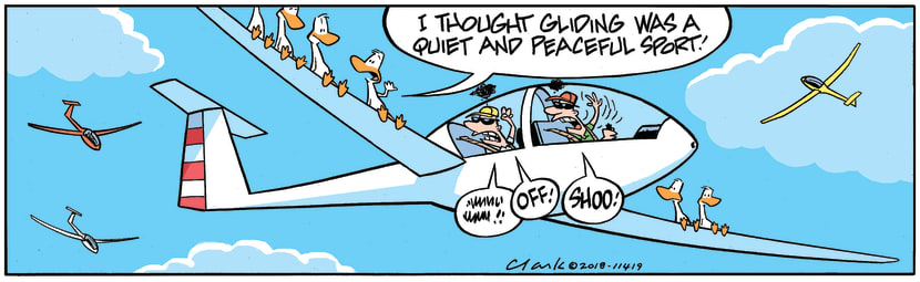 Swamp Cartoon - Gliding Peaceful Sport ComicAugust 3, 2018